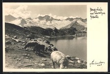 Foto hans hruschka gebraucht kaufen  Berlin
