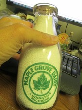 Ludington mich. maple for sale  Owosso
