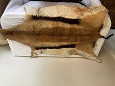 Springbok hide south for sale  KING'S LYNN