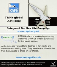 tern for sale tern for sale SANDY