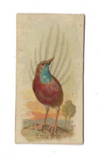Allen ginter emeu d'occasion  Expédié en Belgium