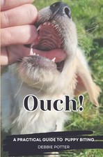 Ouch practical guide for sale  ROSSENDALE