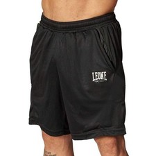 Leone 1947 logo usato  Italia