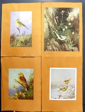 Antique old print for sale  UK