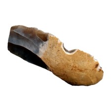 Rare british prehistoric for sale  PETERBOROUGH