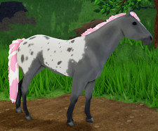 appaloosa d'occasion appaloosa d'occasion Expédié en Belgium