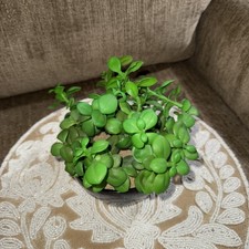 3x6black pot faux for sale  Spanaway