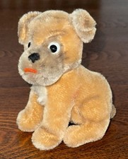 Süßer alter hund gebraucht kaufen Süßer alter hund gebraucht kaufen  Kiel