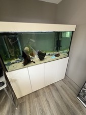 5ft 2.5ft 2.5ft for sale  ROTHERHAM