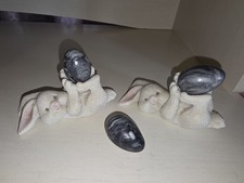 Two adorable white for sale  Hico