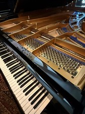 Pianoforte coda concerto usato  Spedire a Italy