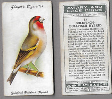 Goldfinch bullfinch aviary for sale  BRIDGEND