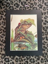 Una woodruff vintage for sale  WALSALL