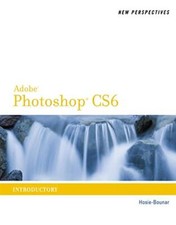 New perspectives adobe for sale  USA