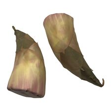 Faux silk vegetables for sale  Saint Augustine