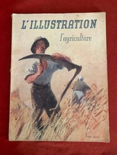 Illustration agriculture couve d'occasion  Draguignan