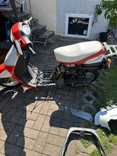 50ccm bunny 50s gebraucht kaufen  Bad Waldsee