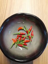 Bonsai chili der gebraucht kaufen  Wilhelmshaven