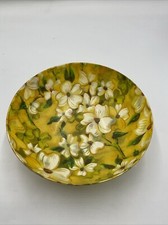 Vintage fiberglass bowl for sale  Porterville