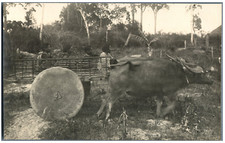 Gastaldy. indochina vintage d'occasion  Expédié en Belgium