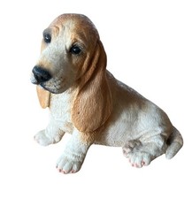 basset hound d'occasion basset hound d'occasion Expédié en Belgium
