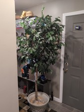 6ft tree artificial ficus for sale  Grand Blanc