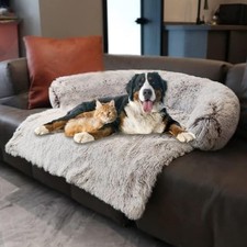 Luxurious calming dogs for sale  Brentwood