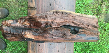 Black walnut blank for sale  Head Waters