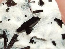 Super rare neptunite for sale  Gainesville