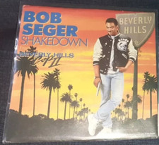 Disco vinile beverly usato  Giarre
