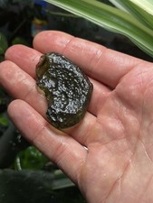 Moldavite heart shaped gebraucht kaufen  Hannover