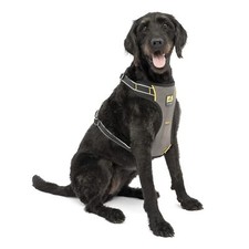 Kurgo impact dog for sale  USA