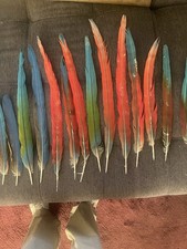 feathercraft for sale  San Ysidro