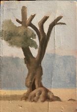 Scuola romana anni usato  Roma