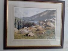 Gentle days steven for sale  ROCHDALE