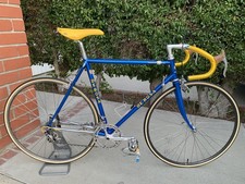 Vintage 80s rosa for sale  Rancho Cucamonga