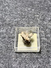 Apatit grube sauberg gebraucht kaufen  Grimma