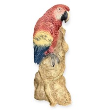 Scarlet macaw parrot for sale  Fort Lauderdale