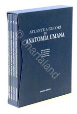 Atlante colori anatomia usato  Vimodrone
