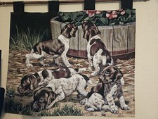 German shorthaired pointer for sale  Bolivar