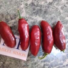 Habanero Chocolate Long,10 semillas,seeds,Capsicum chinense,cosecha propia (71) comprar usado  Enviando para Brazil