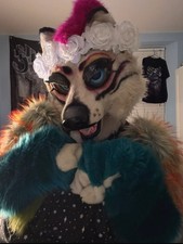Fursuit sale trade for sale  WESTON-SUPER-MARE