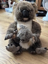 Discovery channel koalas for sale  OXFORD