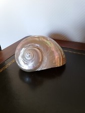 Coquillage turban nacré d'occasion  Sedan
