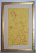 Listed artist rose for sale  New York