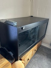 Vivarium 4x2x2 bearded for sale  SOUTHAMPTON