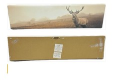 Morning stag elk for sale  Blowing Rock