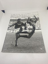 Paolo maldini stefano usato  Roma
