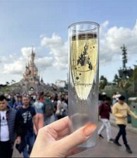 Disneyland paris champagne for sale  Lakeland