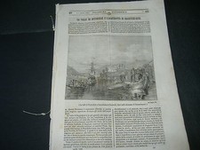 1844 pianta bougainvillea usato  Roma